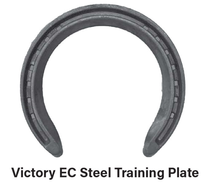 Horseshoes for Racehorses